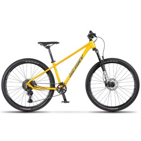 Beany Blaster 26" Kids Bike
