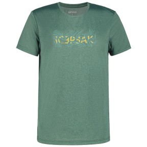 Icepeak Bearden Hiking T-Shirt - Men's