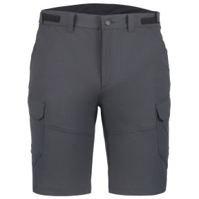Icepeak Braswell Casual Shorts - Men's