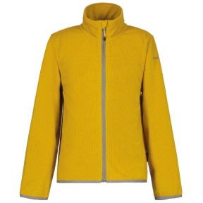 Icepeak Kobuk Jr Fleece Jacket - Boys