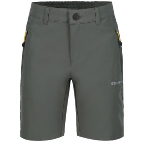 Icepeak Konz Jr Outdoor Shorts - Boys