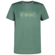 Icepeak Bearden Hiking T-Shirt - Men's
