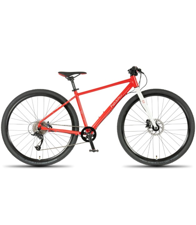 Beany Zero 29'' Junior Bike